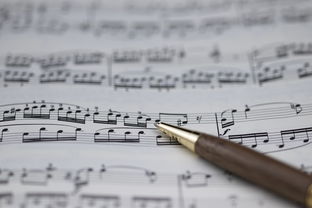 开云体育俱乐部官网-NBA球员职业规划建议与实施，nba球员怎么规划锻炼和训练