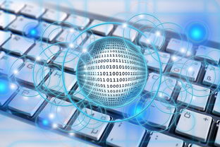 开云入口-篮球专项技能教学创新实践及效果评估，篮球教学实施报告 教学能力比赛